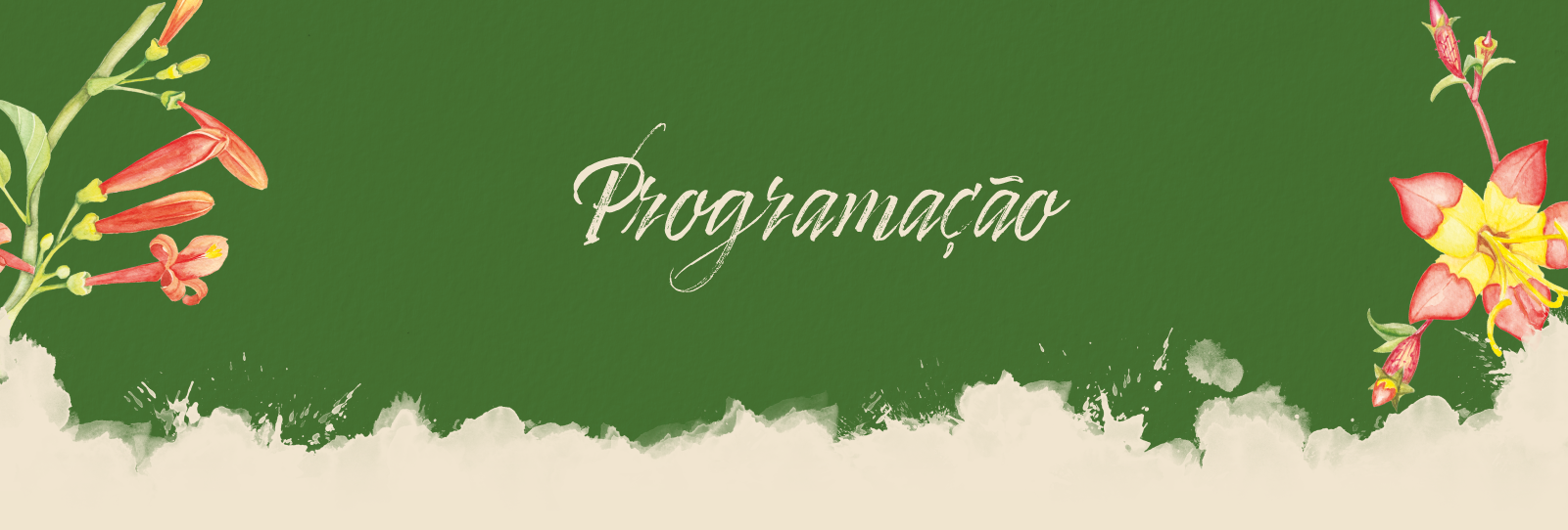 programacao